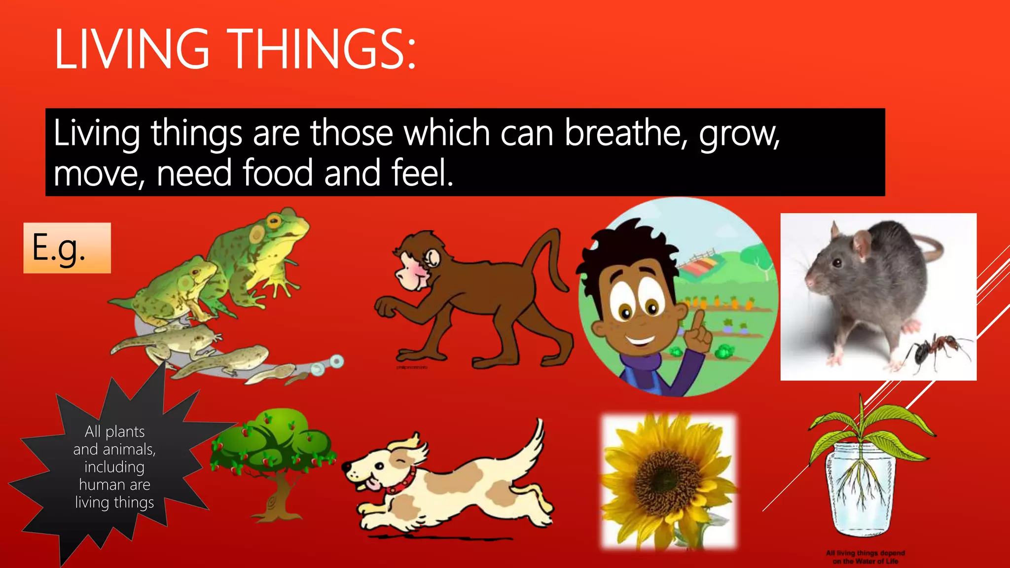 LIVING THINGS:
Living things are those which can breathe, grow,
move, need food and feel.
E.g.
All plants
and animals,
including
human are
living things