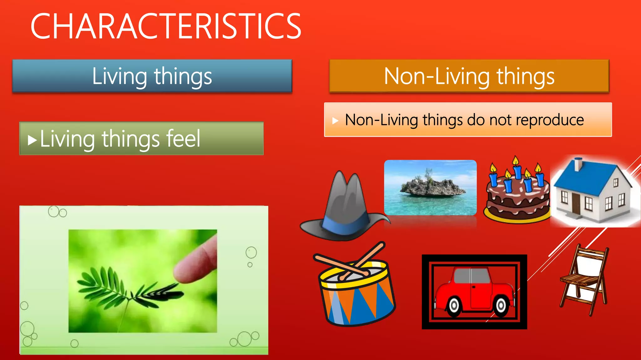 CHARACTERISTICS
Living things GrowLiving things breatheLiving things need foodLiving things move
Living things Non-Living things
Living things reproduceLiving things feel
Non-Living things do not Grow Non Living things do not breathe Non-Living things do not eat foods Non-Living things do not moveNon-Living things do not feel Non-Living things do not reproduce