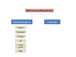Class II Types of IP.pptx intellectual property | PPTX