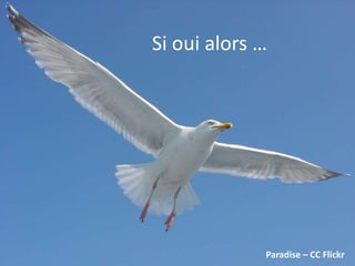 Paradise – CC Flickr
Si oui alors …
 