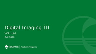 Digital Imaging III
VCP 118-2
Fall 2020
 