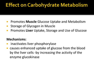  Promotes Muscle Glucose Uptake and Metabolism
 Storage of Glycogen in Muscle
 Promotes Liver Uptake, Storage and Use of Glucose
Mechanisms:
 inactivates liver phosphorylase
 causes enhanced uptake of glucose from the blood
by the liver cells -by increasing the activity of the
enzyme glucokinase
 
