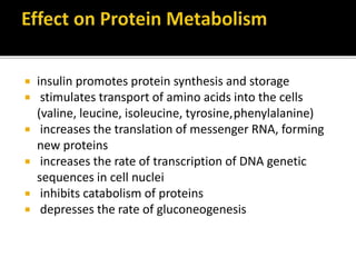 Insulin promotes protein synthesis and storage
stimulates transport of amino acids into the cells (valine,
leucine, isoleucine, tyrosine, phenylalanine)
increases the translation of messenger RNA, forming
new proteins
increases the rate of transcription of DNA genetic
sequences in cell nuclei
inhibits catabolism of proteins
depresses the rate of gluconeogenesis
 