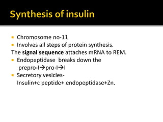 Chromosome no-11
Involves all steps of protein synthesis.
The signal sequence attaches mRNA to Rough
Endoplasmic Reticulum.
Endopeptidase breaks down the prepro-I pro-II
Secretory vesicles-
Insulin+c peptide+ endopeptidase+Zn.
 