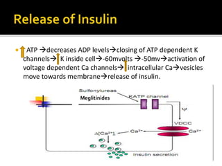  ATP decreases ADP levels closing of ATP dependent K
channels K inside cell-60mvolts -50mvactivation of
voltage dependent Ca channels intracellular Ca vesicles
move towards membrane release of insulin.
Meglitinides
 