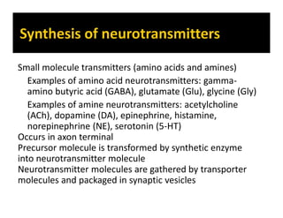Small molecule transmitters (amino acids and amines)
Examples of amino acid neurotransmitters: gamma-
amino butyric acid (GABA), glutamate (Glu), glycine (Gly)
Examples of amine neurotransmitters: acetylcholine
(ACh), dopamine (DA), epinephrine, histamine,
norepinephrine (NE), serotonin (5-HT)
Occurs in axon terminal
Precursor molecule is transformed by synthetic enzyme
into neurotransmitter molecule
Neurotransmitter molecules are gathered by transporter
molecules and packaged in synaptic vesicles
 