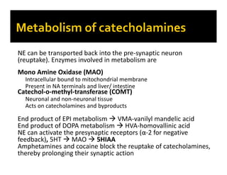 NE can be transported back into the pre-synaptic neuron
(reuptake). Enzymes involved in metabolism are
Mono Amine Oxidase (MAO)
Intracellular bound to mitochondrial membrane
Present in NA terminals and liver/ intestine
Catechol-o-methyl-transferase (COMT)
Neuronal and non-neuronal tissue
Acts on catecholamines and byproducts
End product of EPI metabolism  VMA-vanilyl mandelic acid
End product of DOPA metabolism  HVA-homovallinic acid
NE can activate the presynaptic receptors (α-2 for negative
feedback), 5HT  MAO  5HIAA
Amphetamines and cocaine block the reuptake of catecholamines,
thereby prolonging their synaptic action
 