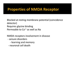 Blocked at resting membrane potential (coincidence
detector)
Requires glycine binding
Permeable to Ca++ as well as Na
NMDA receptors involvement in disease
- seizure disorders
- learning and memory
- neuronal cell death
 