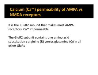It is the GluR2 subunit that makes most AMPA
receptors Ca++ impermeable
The GluR2 subunit contains one amino acid
substitution : arginine (R) versus glutamine (Q) in all
other GluRs
 