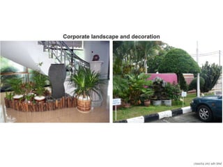 classita (m) sdn bhd
Corporate landscape and decoration
 