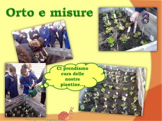 Ci prendiamo
cura delle
nostre
piantine...