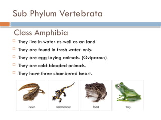 Class IX chapter 12 Diversity in living organisms part 3.pptx