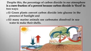 Class IX Science Natural Resources.pptx