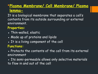 Plasma Membrane/ Cell Membrane/ Plasma
lemma-
It is a biological membrane that separates a cell’s
contents from its outside surrounding or external
environment.
Properties:
● Thin-walled, elastic
● Made up of proteins and lipids
● It is a living component of the cell
Functions:
● Protects the contents of the cell from its external
environment
● Its semi-permeable allows only selective materials
to flow in and out of the cell
 