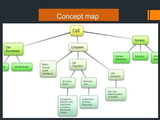 Concept map
 