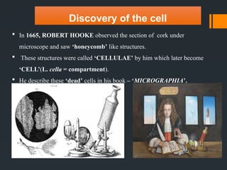 Discovery of the cell
 In 1665, ROBERT HOOKE observed the section of cork under
microscope and saw ‘honeycomb’ like structures.
 These structures were called ‘CELLULAE’ by him which later become
‘CELL’(L. cella = compartment).
 He describe these ‘dead’ cells in his book – ‘MICROGRAPHIA’.
 