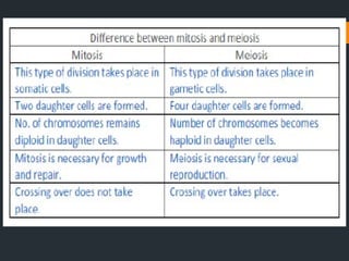 CLASS IX THE CELL.pptx for exam preparation.