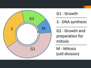 CLASS IX THE CELL.pptx for exam preparation.