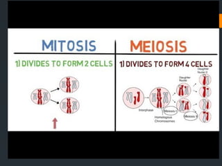 CLASS IX THE CELL.pptx for exam preparation.