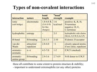 Types of non-covalent interactions
interaction nature
bond
length
“bond”
strength example
ionic
(salt bridge)
electrostatic 1.8-4.0 Å
(3.0-10 Å
for like
charges)
1-6
kcal/mol
positive: K, R, H,
N-terminus
negative: D, E,
C-terminus
hydrophobic entropy - 2-3 hydrophobic side chains
(M,I,L,V,F,W,Y,A,C,P)
H-bond H-bonding 2.6-3.5 2-10 H donor, O acceptor
van der
Waals
attraction/
repulsion
2.8-4.0 <1 closely-spaced atoms;
if too close, repulsion
aromatic-
aromatic
p-p 4.5-7.0 1-2 F,W,Y (stacked)
aromatic-
amino group
H-bonding 2.9-3.6 2.7-4.9 N-H donor to F,W,Y
these all contribute to some extent to protein structure & stability;
- important to understand extremophilic (or any other) proteins
2-12
 