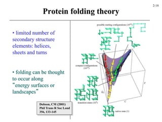 • folding can be thought
to occur along
“energy surfaces or
landscapes”
• limited number of
secondary structure
elements: helices,
sheets and turns
Protein folding theory
Dobson, CM (2001)
Phil Trans R Soc Lond
356, 133-145
2-18
 