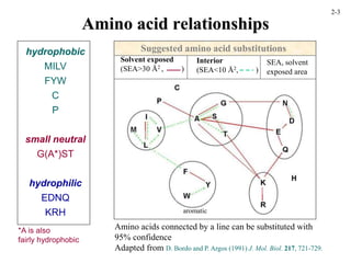 hydrophobic
MILV
FYW
C
P
small neutral
G(A*)ST
hydrophilic
EDNQ
KRH
Amino acid relationships
*A is also
fairly hydrophobic
Suggested amino acid substitutions
Amino acids connected by a line can be substituted with
95% confidence
Adapted from D. Bordo and P. Argos (1991) J. Mol. Biol. 217, 721-729.
Solvent exposed
(SEA>30 Å2 , )
Interior
(SEA<10 Å2, )
SEA, solvent
exposed area
aromatic
2-3
 