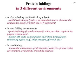 Protein folding:
in 3 different environments
• ex vivo refolding rabbit reticulocyte lysate
- rabbit reticulocyte lysate is an abundant source of molecular
chaperones, many of which are ATP-dependent
• in vitro folding environments
- protein folding (from denaturant), when possible, requires the
proper environment:
proper pH, salts, concentration of protein, temperature,
stabilizing agents (e.g., other proteins, glycerol, etc.)
• in vivo folding
- molecular chaperones, protein folding catalysts, proper redox
environment, availability of binding partners
2-29
 