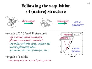 Following the acquisition
of (native) structure
denaturation renaturation native
structure?
• regain of 2º, 3º and 4º structures
- by circular dichroism and
fluorescence measurements
- by other criteria (e.g., native gel
electrophoresis, SEC,
protease sensitivity assays, etc.)
• regain of activity
- activity not necessarily enzymatic
Circular
dichroism
unfolding
refolding
2-30
 