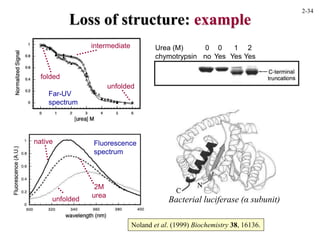 Loss of structure: example
folded
unfolded
intermediate
Far-UV
spectrum
Fluorescence
spectrum
Noland et al. (1999) Biochemistry 38, 16136.
native
unfolded
2M
urea
Urea (M)
chymotrypsin
0
no
0
Yes
1
Yes
2
Yes
Bacterial luciferase (α subunit)
2-34
 