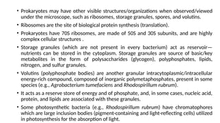• Prokaryotes may have other visible structures/organizations when observed/viewed
under the microscope, such as ribosomes, storage granules, spores, and volutins.
• Ribosomes are the site of biological protein synthesis (translation).
• Prokaryotes have 70S ribosomes, are made of 50S and 30S subunits, and are highly
complex cellular structures .
• Storage granules (which are not present in every bacterium) act as reservoir—
nutrients can be stored in the cytoplasm. Storage granules are source of basic/key
metabolites in the form of polysaccharides (glycogen), polyphosphates, lipids,
nitrogen, and sulfur granules.
• Volutins (polyphosphate bodies) are another granular intracytoplasmic/intracellular
energy-rich compound, composed of inorganic polymetaphosphates, present in some
species (e.g., Agrobacterium tumefaciens and Rhodospirillum rubrum).
• It acts as a reserve store of energy and of phosphate, and, in some cases, nucleic acid,
protein, and lipids are associated with these granules.
• Some photosynthetic bacteria (e.g., Rhodospirillum rubrum) have chromatophores
which are large inclusion bodies (pigment-containing and light-reflecting cells) utilized
in photosynthesis for the absorption of light.
 