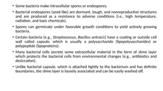 • Some bacteria make intracellular spores or endospores.
• Bacterial endospores (seed like) are dormant, tough, and nonreproductive structures
and are produced as a resistance to adverse conditions (i.e., high temperature,
radiation, and toxic chemicals).
• Spores can germinate under favorable growth conditions to yield actively growing
bacteria.
• Certain bacteria (e.g., Streptococcus, Bacillus antracis) have a coating or outside cell
wall called capsule, which is usually a polysaccharide (lipopolysaccharides) or
polypeptide (lipoproteins).
• Many bacterial cells secrete some extracellular material in the form of slime layer
which protects the bacterial cells from environmental changes (e.g., antibiotics and
desiccation).
• Unlike bacterial capsule, which is attached tightly to the bacterium and has definite
boundaries, the slime layer is loosely associated and can be easily washed off.
 