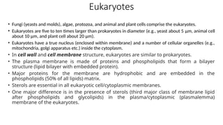 Eukaryotes
• Fungi (yeasts and molds), algae, protozoa, and animal and plant cells comprise the eukaryotes.
• Eukaryotes are five to ten times larger than prokaryotes in diameter (e.g., yeast about 5 μm, animal cell
about 10 μm, and plant cell about 20 μm).
• Eukaryotes have a true nucleus (enclosed within membrane) and a number of cellular organelles (e.g.,
mitochondria, golgi apparatus etc.) inside the cytoplasm.
• In cell wall and cell membrane structure, eukaryotes are similar to prokaryotes.
• The plasma membrane is made of proteins and phospholipids that form a bilayer
structure (lipid bilayer with embedded protein).
• Major proteins for the membrane are hydrophobic and are embedded in the
phospholipids (50% of all lipids) matrix.
• Sterols are essential in all eukaryotic cell/cytoplasmic membranes.
• One major difference is in the presence of sterols (third major class of membrane lipid
after phospholipids and glycolipids) in the plasma/cytoplasmic (plasmalemma)
membrane of the eukaryotes.
 