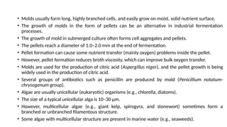 • Molds usually form long, highly branched cells, and easily grow on moist, solid nutrient surface.
• The growth of molds in the form of pellets can be an alternative in industrial fermentation
processes.
• The growth of mold in submerged culture often forms cell aggregates and pellets.
• The pellets reach a diameter of 1.0–2.0 mm at the end of fermentation.
• Pellet formation can cause some nutrient transfer (mainly oxygen) problems inside the pellet.
• However, pellet formation reduces broth viscosity, which can improve bulk oxygen transfer.
• Molds are used for the production of citric acid (Aspergillus niger), and the pellet growth is being
widely used in the production of citric acid.
• Several groups of antibiotics such as penicillin are produced by mold (Penicillium notatum-
chrysogenum group).
• Algae are usually unicellular (eukaryotic) organisms (e.g., chlorella, diatoms).
• The size of a typical unicellular alga is 10–30 μm.
• However, multicellular algae (e.g., giant kelp, spirogyra, and stonewort) sometimes form a
branched or unbranched filamentous structure.
• Some algae with multicellular structure are present in marine water (e.g., seaweeds).
 