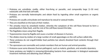 • Protozoa are unicellular, motile, either free-living or parasitic, and comparably large (1–50 mm)
eukaryotic cells that lack cell walls.
• Protozoa are normally heterotrophic and obtain food by ingesting other small organisms or organic
particles.
• Protozoa are usually uninucleate and reproduce by sexual or asexual modes.
• They are classified on the basis of their motion.
• The amoeba move by amoeboid motion, whereby the cytoplasm of the cell flows forward to form a
pseudopodium (false foot), and the rest of the cell flows toward this lobe.
• The flagellates move using their flagella.
• Trypanosomes move by flagella and cause a number of diseases in humans.
• The ciliates move by motion of a large number of small appendages on the cell surface called cilia.
• These protozoa do not engulf/imbibe food particles but absorb dissolved food contents through their
membranes.
• The sporozoans are nonmotile and contain members that are human and animal parasites.
• Protozoa cause some diseases (human pathogens), such as malaria, giardiasis, and amoebic dysentery.
• Some protozoa are helpful in removing/eliminating bacteria from wastewater in biological wastewater
treatment methods and obtaining clean effluent.
 