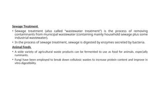 Sewage Treatment
• Sewage treatment (also called “wastewater treatment”) is the process of removing
contaminants from municipal wastewater (containing mainly household sewage plus some
industrial wastewater).
• In the process of sewage treatment, sewage is digested by enzymes secreted by bacteria.
Animal Feeds
• A wide variety of agricultural waste products can be fermented to use as food for animals, especially
ruminants.
• Fungi have been employed to break down cellulosic wastes to increase protein content and improve in
vitro digestibility.
 