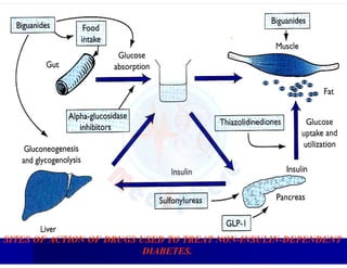 SITES OF ACTION OF DRUGS USED TO TREAT NON-INSULIN-DEPENDENT
DIABETES.
 
