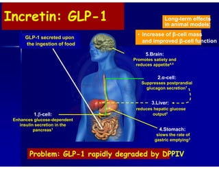 Incretin: GLP-1
GLP-1 secreted upon
the ingestion of food
1.β-cell:
Enhances glucose-dependent
insulin secretion in the
pancreas1
3.Liver:
reduces hepatic glucose
output2
2.α-cell:
Suppresses postprandial
glucagon secretion1
4.Stomach:
slows the rate of
gastric emptying3
5.Brain:
Promotes satiety and
reduces appetite4,5
Problem: GLP-1 rapidly degraded by DPPIV
Long-term effects
in animal models:
• Increase of β-cell mass
and improved β-cell function
 