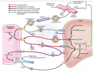 Moins lecture collection 1.(DM Lec)pdf