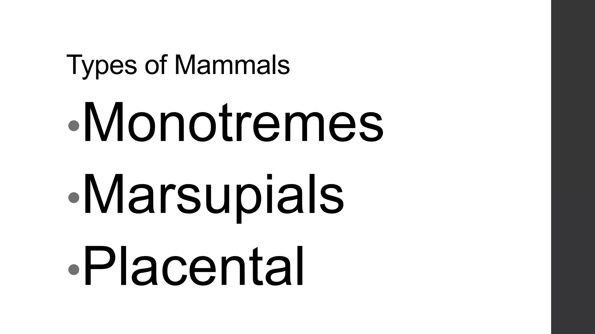 Types of Mammals

•Monotremes
•Marsupials
•Placental

 