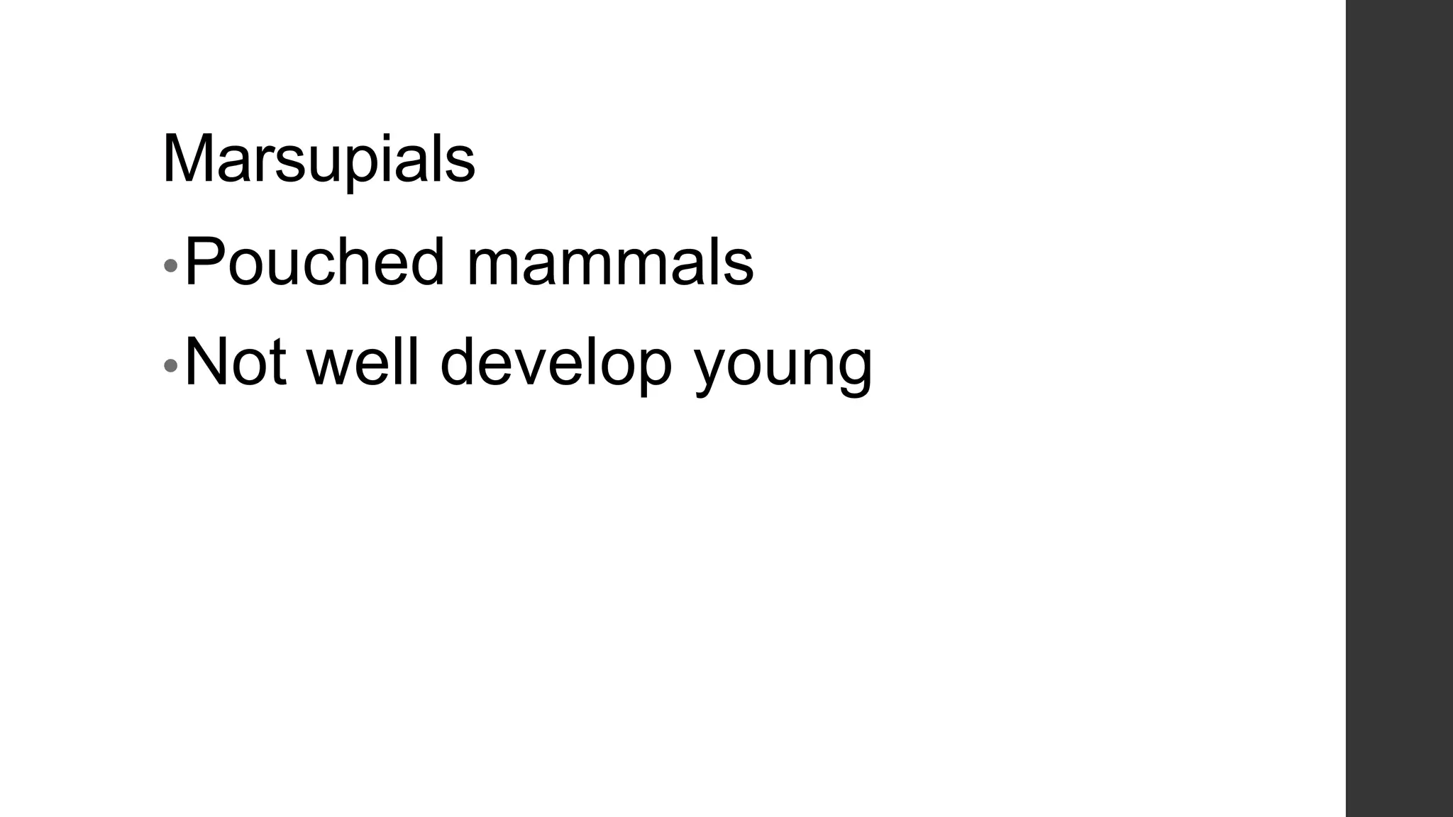 Marsupials
• Pouched
• Not

mammals

well develop young

 