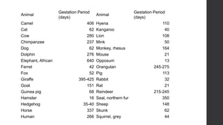 Animal
Camel
Cat
Cow
Chimpanzee
Dog
Dolphin
Elephant, African
Ferret
Fox
Giraffe
Goat
Guinea pig
Hamster
Hedgehog
Horse
Human

Gestation Period
(days)
406
62
280
237
62
276
640
42
52
395-425
151
68
16
35-40
337
266

Animal
Hyena
Kangaroo
Lion
Mink
Monkey, rhesus
Mouse
Opposum
Orangutan
Pig
Rabbit
Rat
Reindeer
Seal, northern fur
Sheep
Skunk
Squirrel, grey

Gestation Period
(days)
110
40
108
50
164
21
13
245-275
113
32
21
215-245
350
148
62
44

 