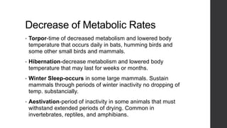 Decrease of Metabolic Rates
•

Torpor-time of decreased metabolism and lowered body
temperature that occurs daily in bats, humming birds and
some other small birds and mammals.

•

Hibernation-decrease metabolism and lowered body
temperature that may last for weeks or months.

•

Winter Sleep-occurs in some large mammals. Sustain
mammals through periods of winter inactivity no dropping of
temp. substancially.

•

Aestivation-period of inactivity in some animals that must
withstand extended periods of drying. Common in
invertebrates, reptiles, and amphibians.

 