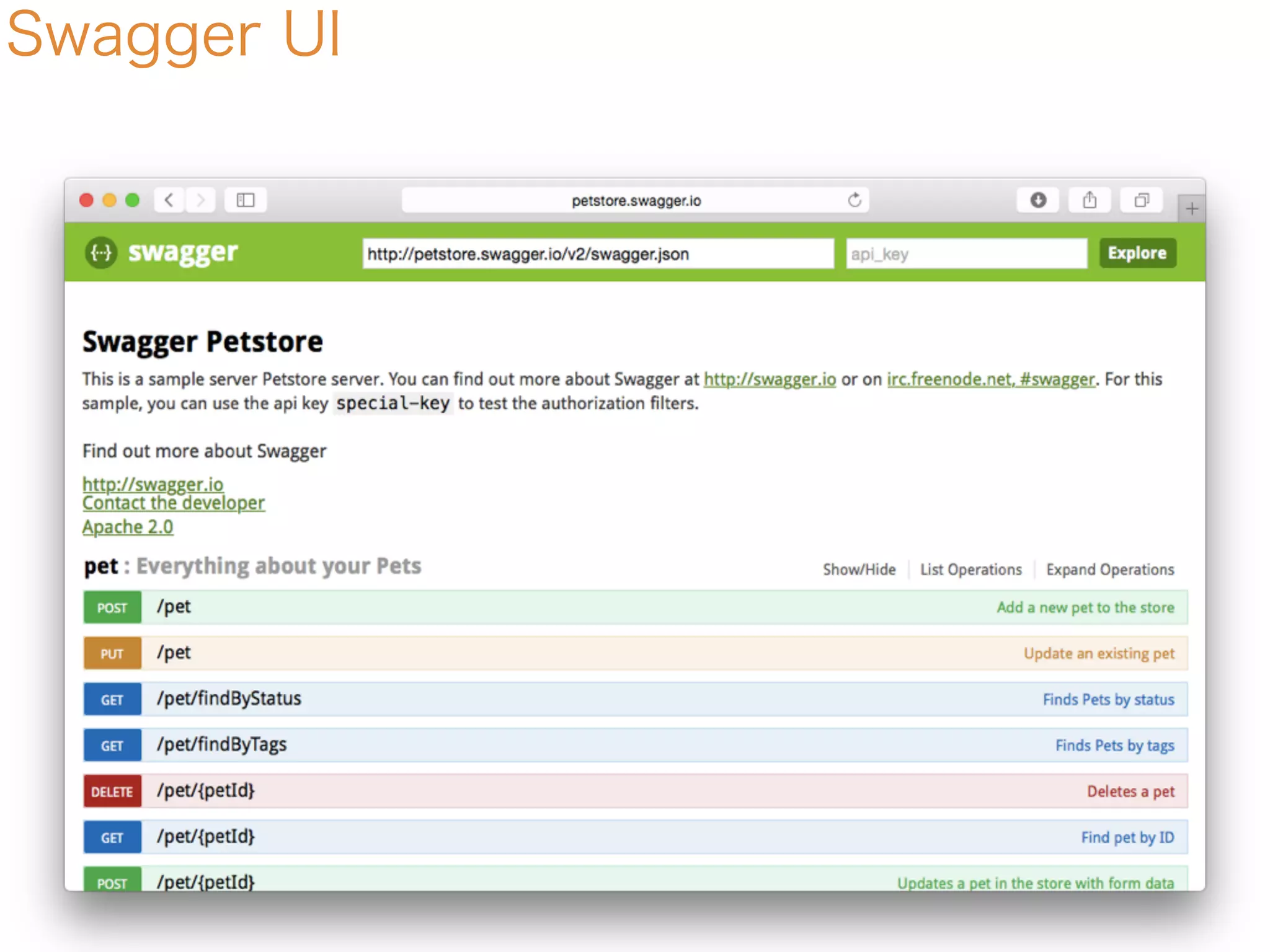 Swagger UI
 