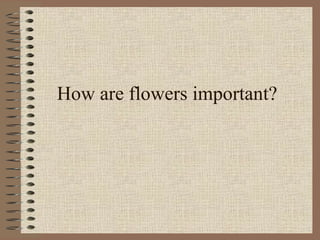 How are flowers important? 