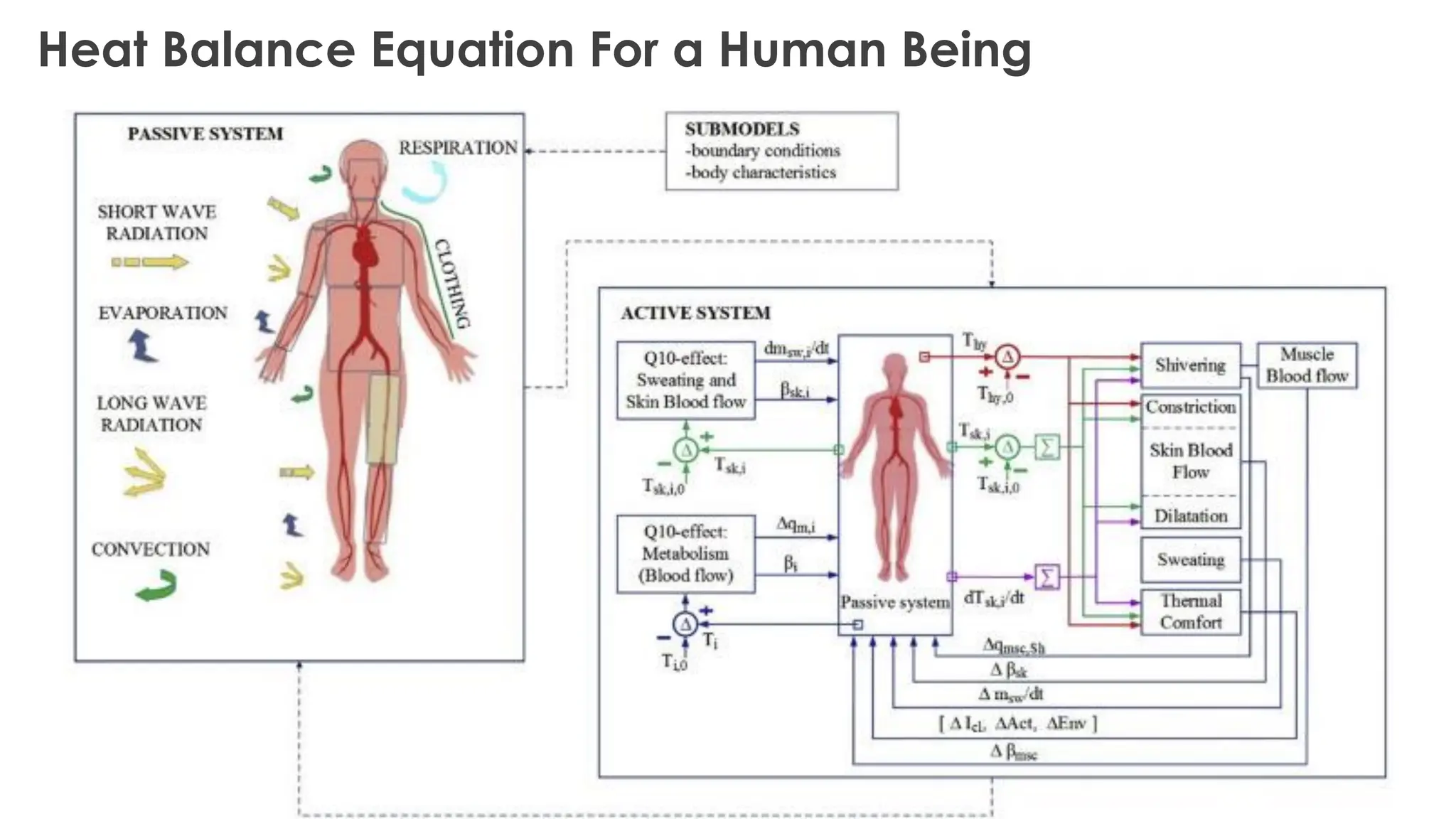 THERMAL COMFORT AND HUMAN BODY HEAT BALANCE.pdf