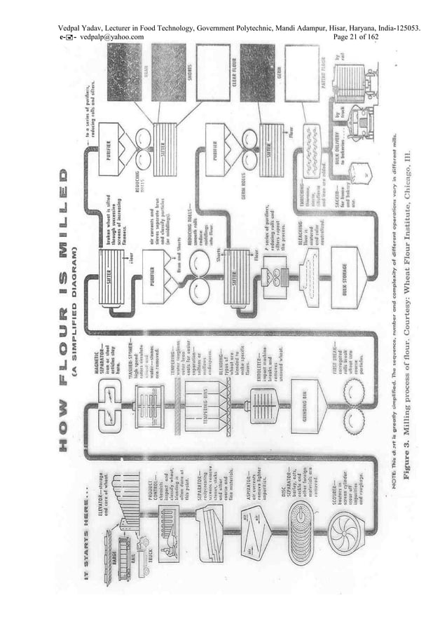 Technology of cereals and pulses Class notes PDF