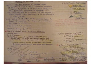Professor E.G. Ionkina Class Notes - Lessons 1-3 Physiology of Excitation of Neurons