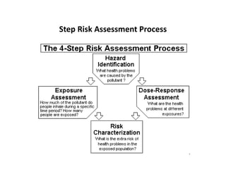 Step Risk Assessment Process
 
