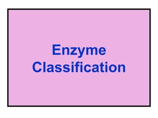 Enzyme
Classification
 