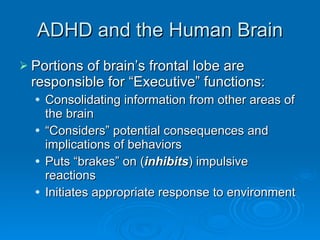 ADHD and the Human Brain Portions of brain’s frontal lobe are responsible for “Executive” functions: Consolidating information from other areas of the brain “ Considers” potential consequences and implications of behaviors Puts “brakes” on ( inhibits ) impulsive reactions Initiates appropriate response to environment 